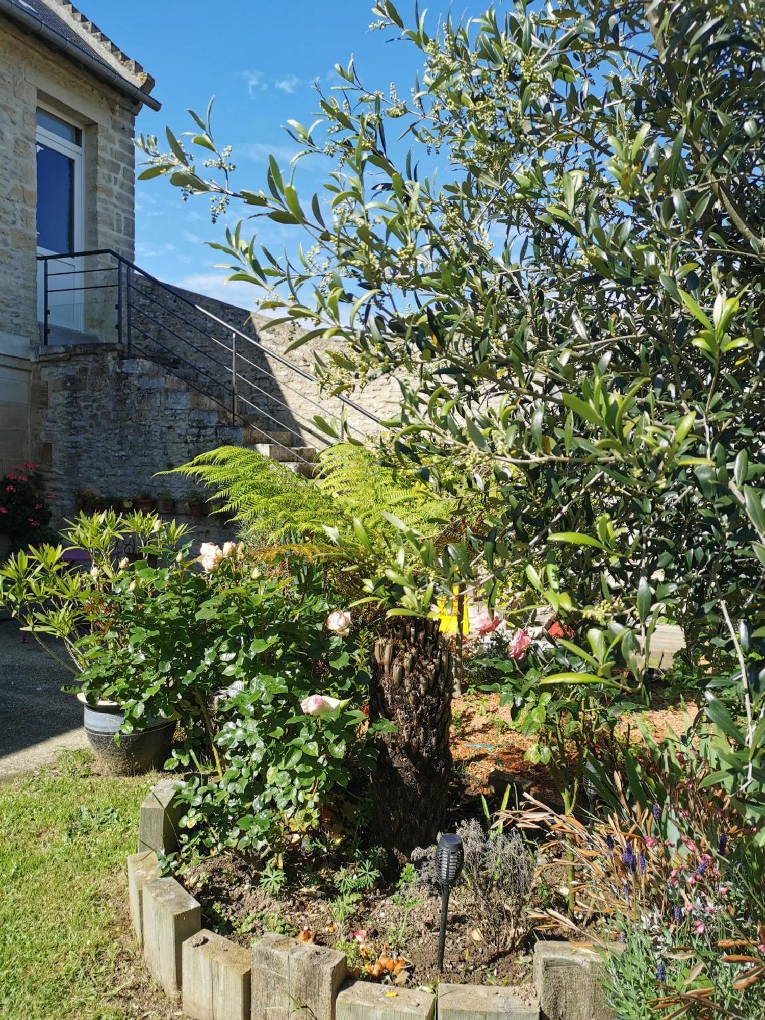 Grenier De L, Iris Homestay